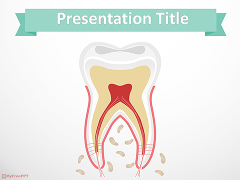 Tooth Anatomy PowerPoint Template