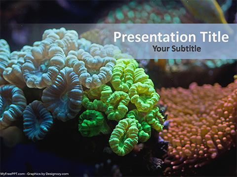 Underwater Coral Reef PowerPoint Template